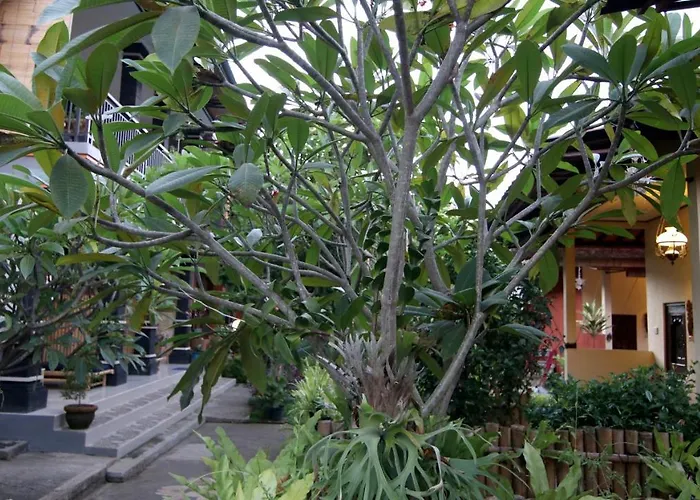 Ayye Ubud